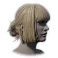 Hairstyle 55