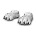 Polar Bear Feet