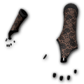 Quickdraw Gloves