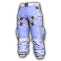 Wild Cat Pants