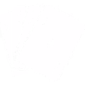 DEAD MAN'S HAND