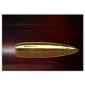 Bullet Time
