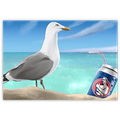 Seagull Sips