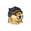 Lv. 3 Doge