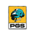 PGS 6
