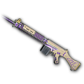 PGC 2022 Aced - SLR