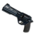 Wild Card - R45