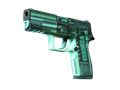 Genuine P250 | X-Ray (Factory New)