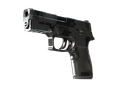 P250 | Metallic DDPAT (Factory New)