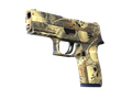P250 | Contamination (Minimal Wear)