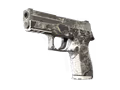 P250 | Sleet (Battle-Scarred)