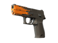 P250 | Splash (Minimal Wear)