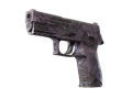P250 | Plum Netting (Field-Tested)
