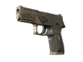 P250 | Bullfrog (Field-Tested)