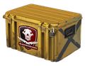 Falchion Case