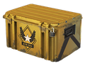Winter Offensive Weapon Case