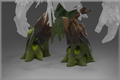 Barrow Roots