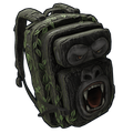 Team CoconutB + Winnie Backpack