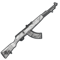 Team Ricoy + Dilanzito SKS