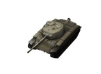 T21