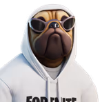 Shady Doggo