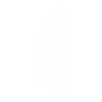 Wave