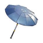 The Umbrella