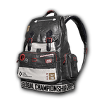 PGC 2019 Backpack (Level 2)