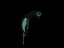 Sealed Graffiti | Karambit (Frog Green)