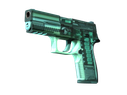 Genuine P250 | X-Ray (Factory New)