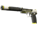 USP-S | Torque (Factory New)