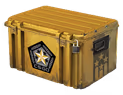 Gamma 2 Case