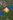 OpenTTD