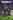Football Manager 2024