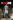 NBA 2K25