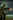 Half-Life 2: Deathmatch