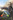 ARK: Survival Evolved