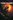 Shadow of the Tomb Raider