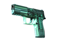Genuine P250 | X-Ray (Factory New)