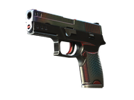P250 | Cyber Shell (Minimal Wear)
