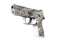 P250 | Sleet (Factory New)