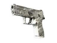 P250 | Sleet (Field-Tested)