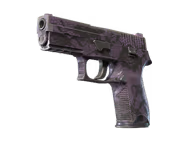 P250 | Plum Netting (Field-Tested)