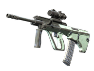 AUG | Storm (Battle-Scarred)