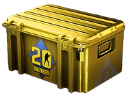 CS20 Case