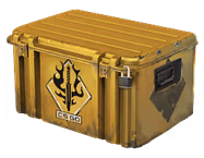 Spectrum Case