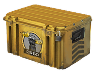 Glove Case