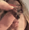 moollyftw