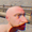 sdssd