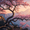 nazarikgames